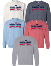 Century Swim&Dive Crewneck