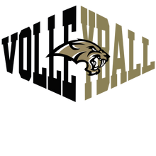LHS Volleyball t
