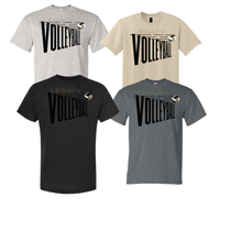 LHS VB T