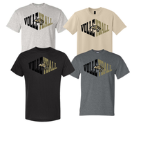 LHS Volleyball t