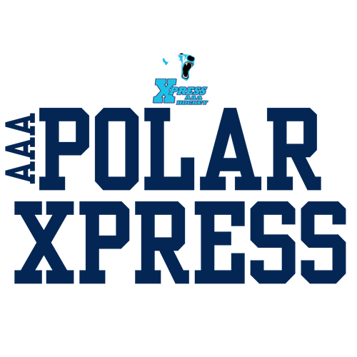 Polar Hockey T