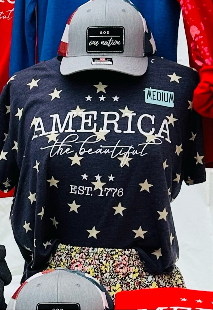 America The Beautiful Cropped T