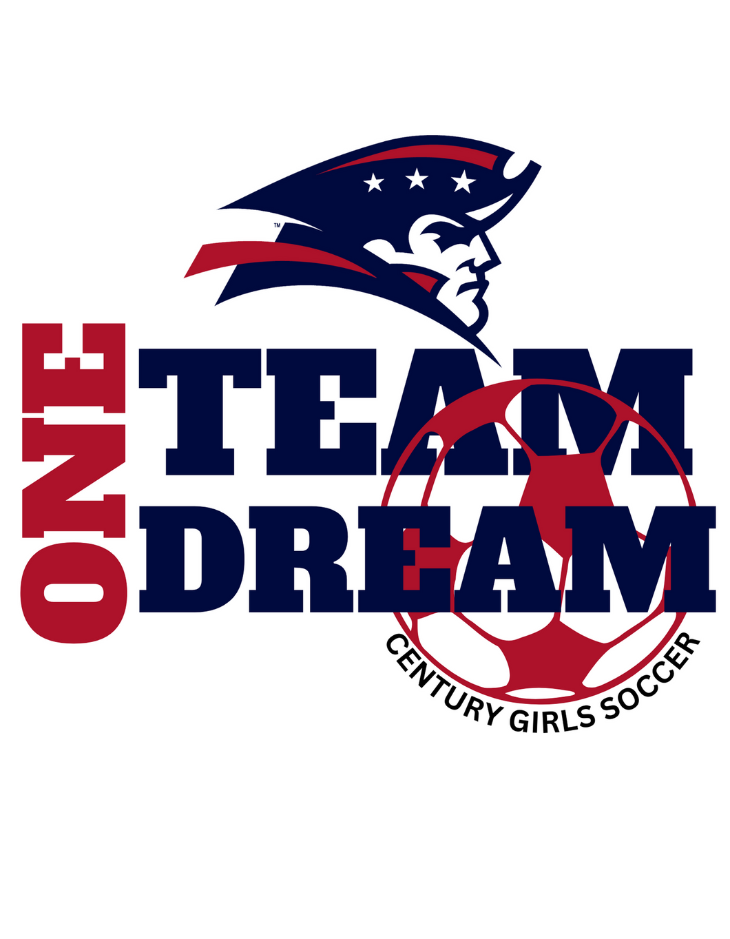 One Team One Dream T